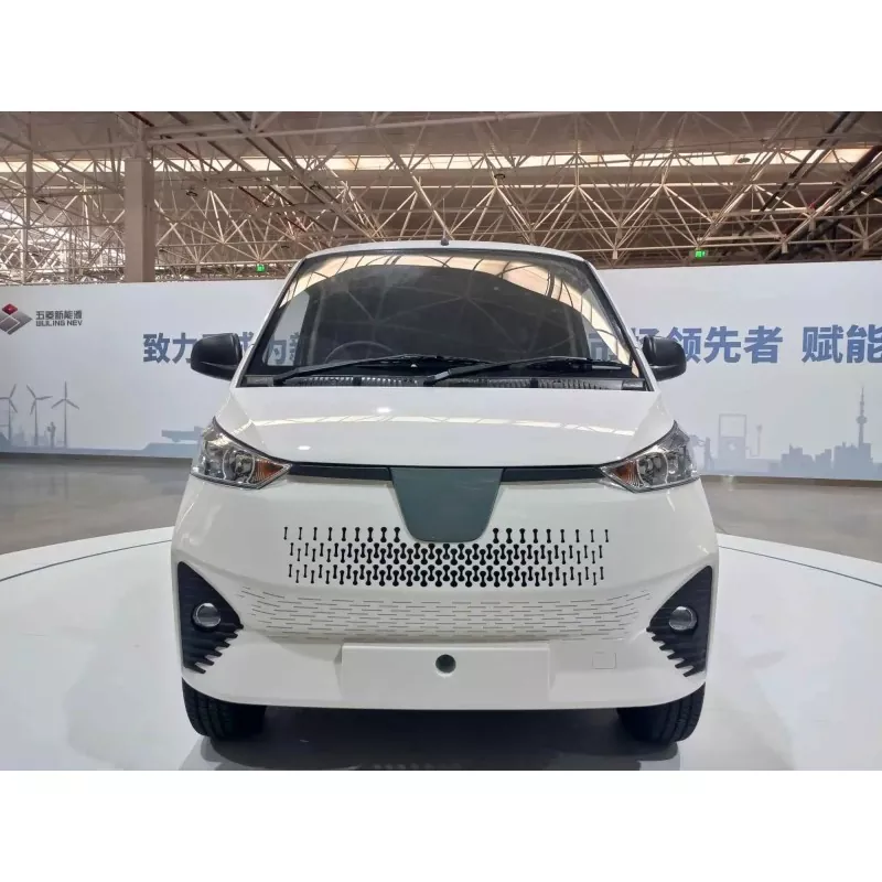 Cos'è un minivan elettrico?