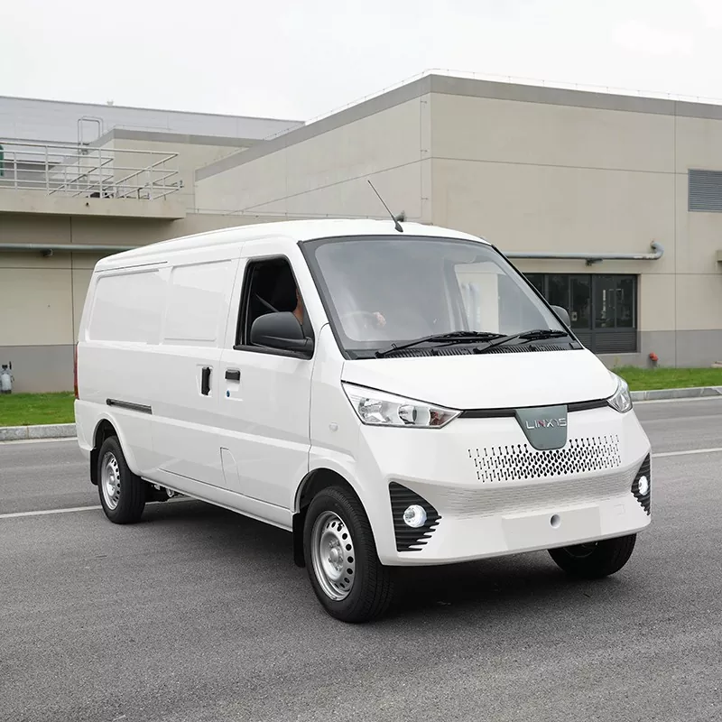 Camion elettrico con carico 1T