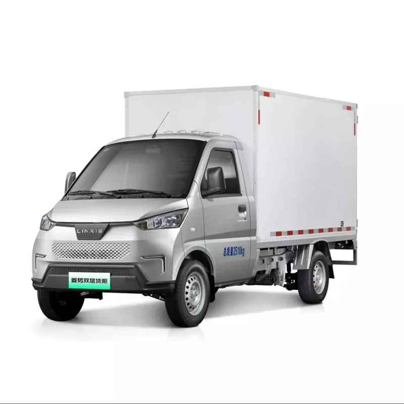 Camion NEV a due posti
